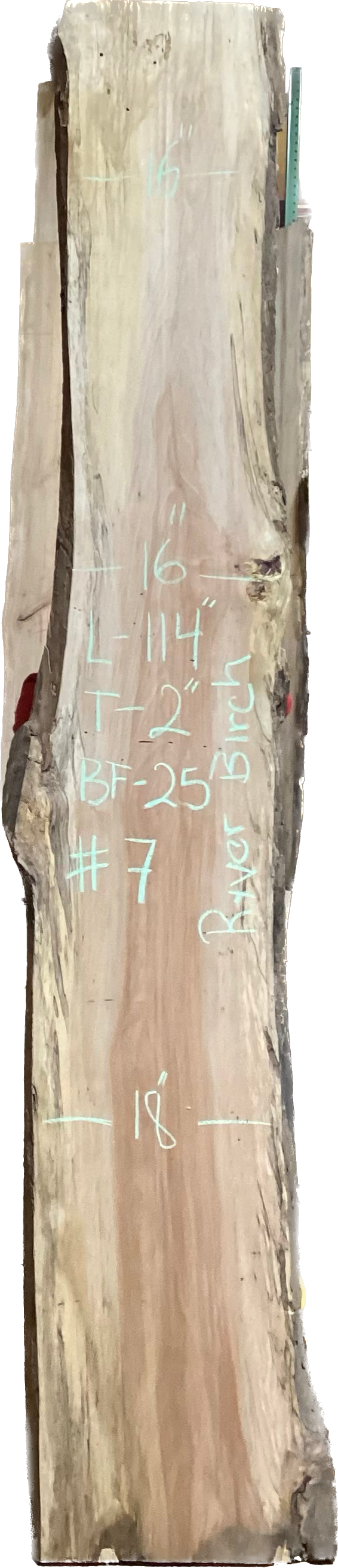 River Birch Slabs