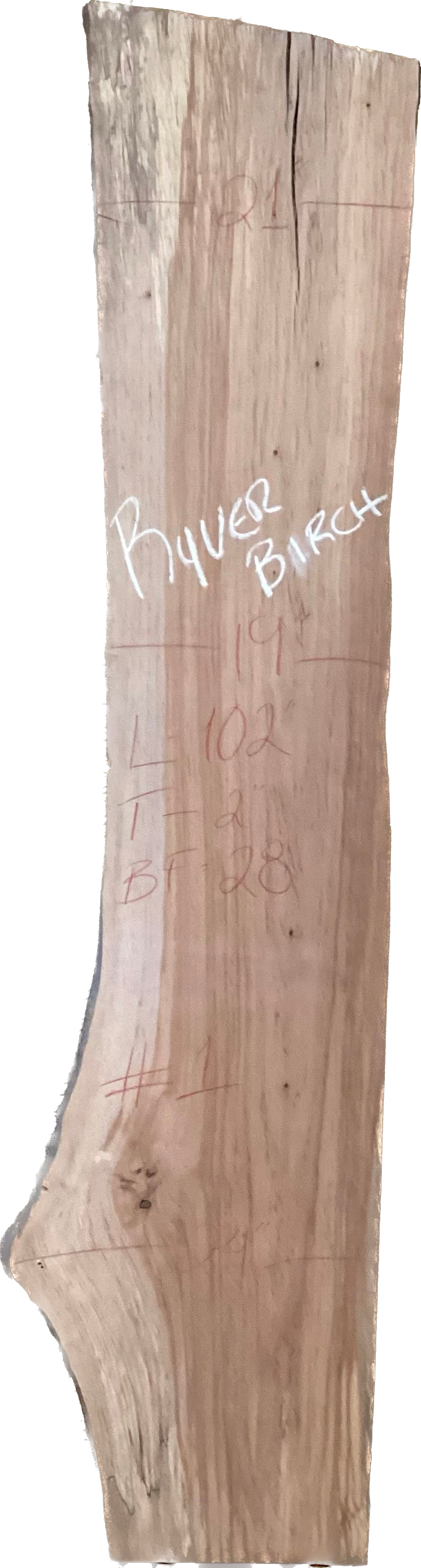 River Birch Slabs
