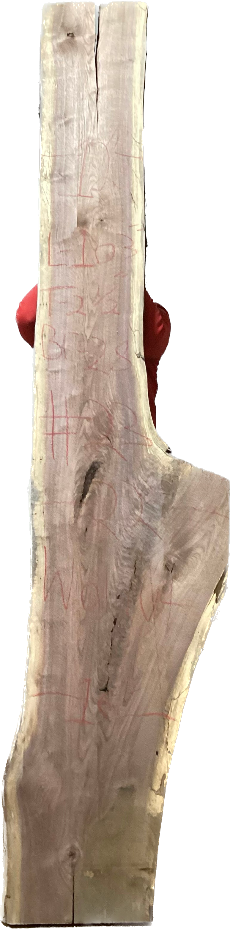 Walnut Slabs 8/4- 1-100