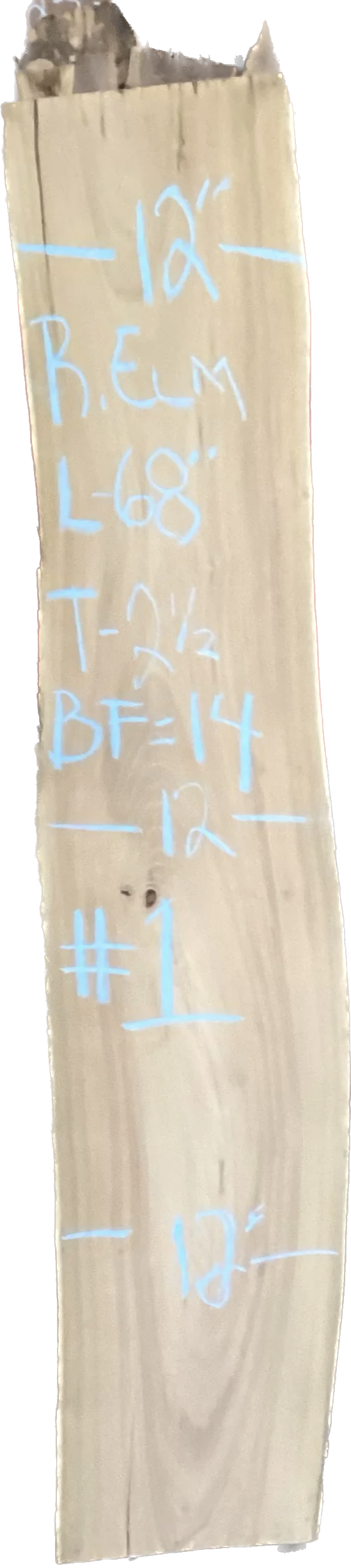 Red Elm Slabs