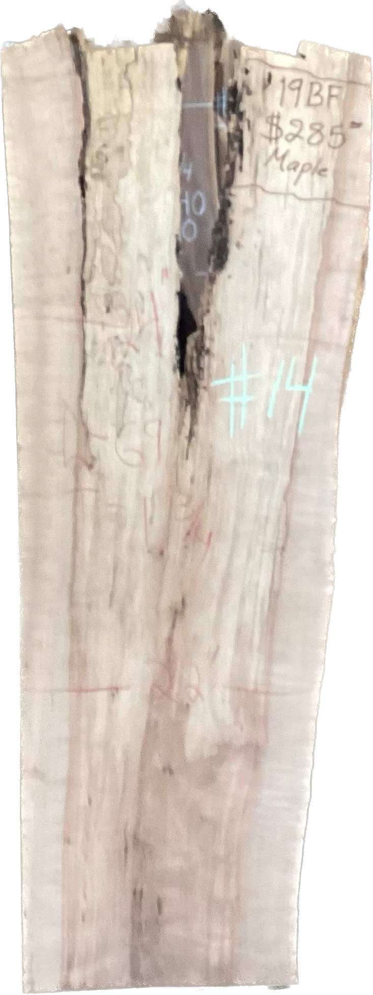 Maple Slabs