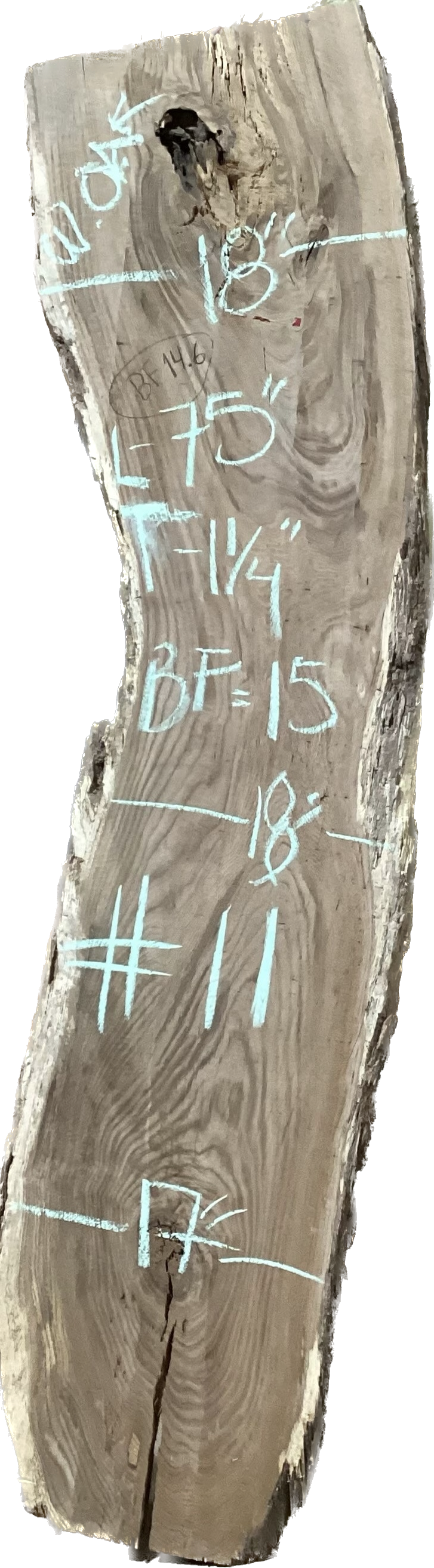 White Oak Slabs #101-200