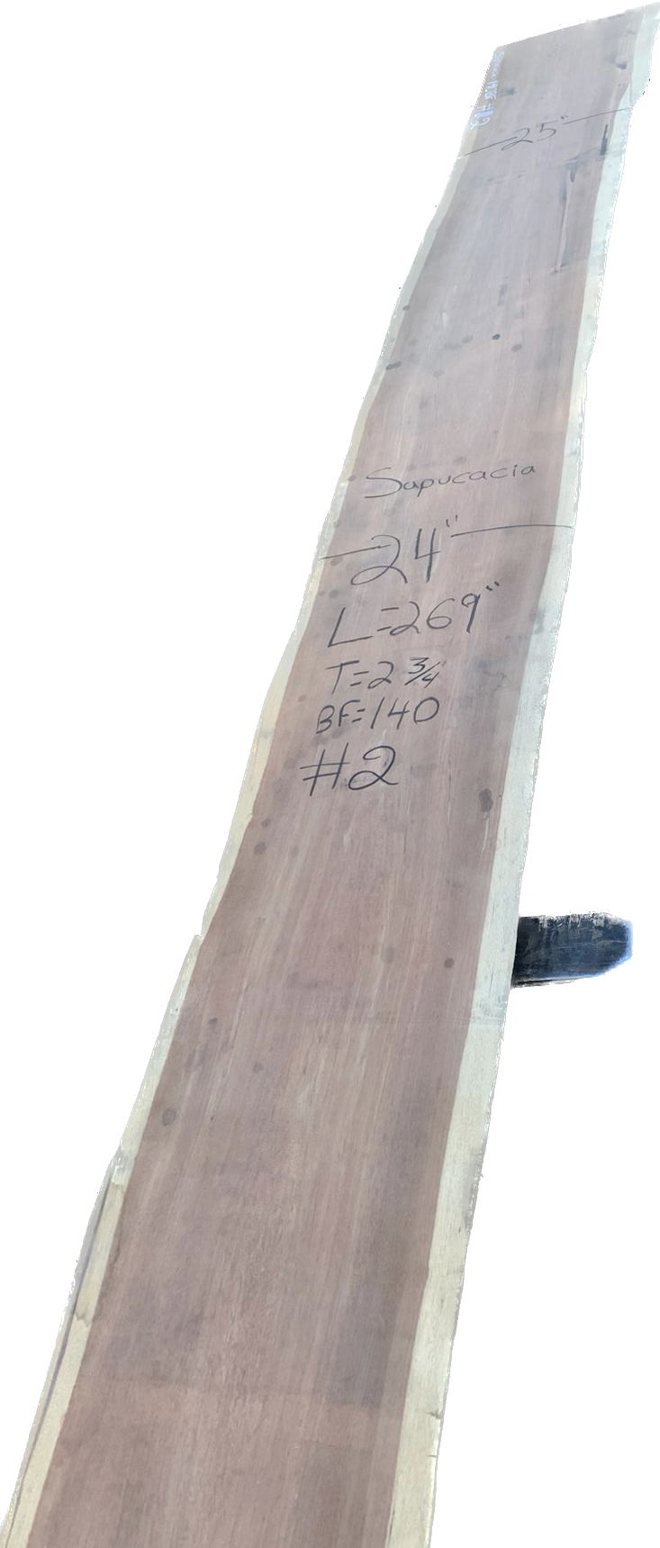 Sapucacia Wood