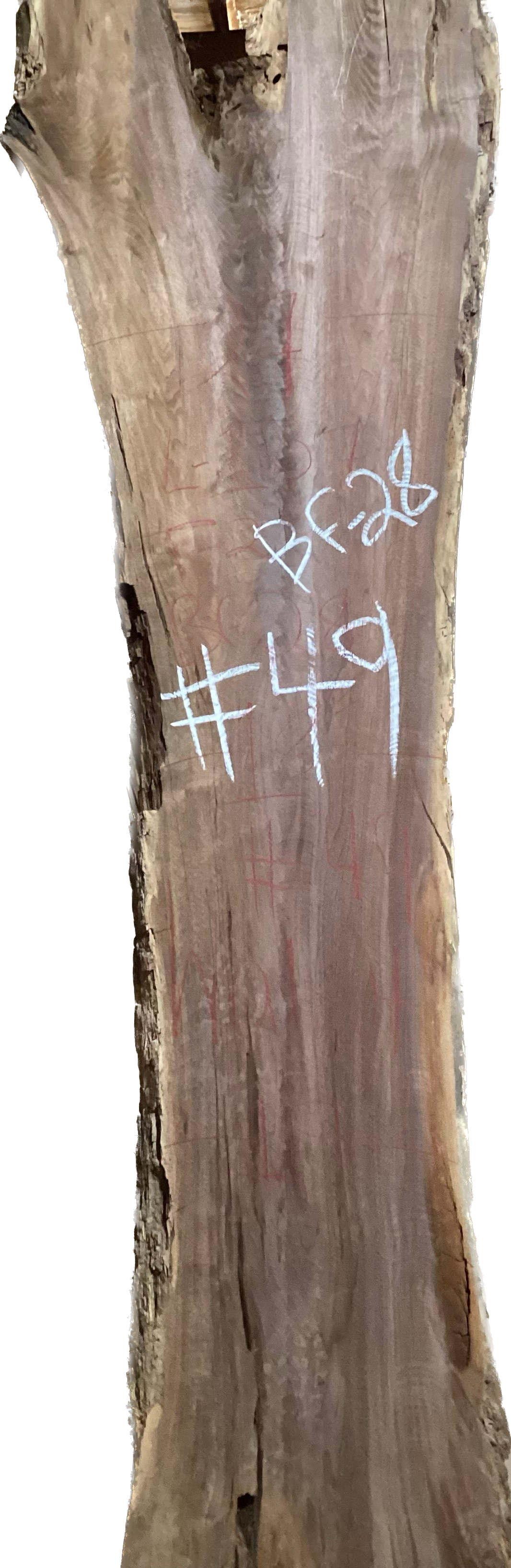 Walnut Slabs 8/4- 1-100
