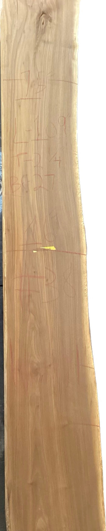 Walnut Slabs 8/4- 1-100