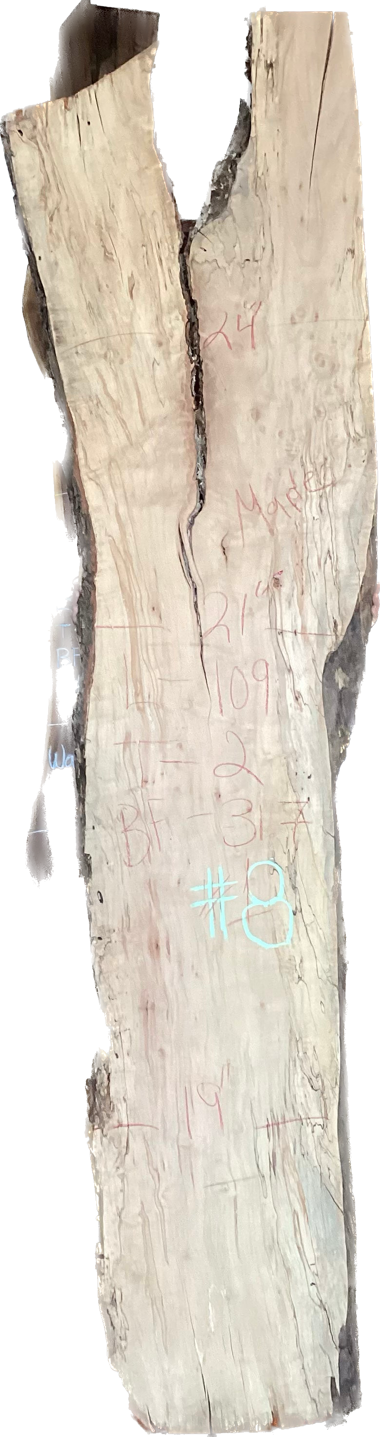 Maple Slabs