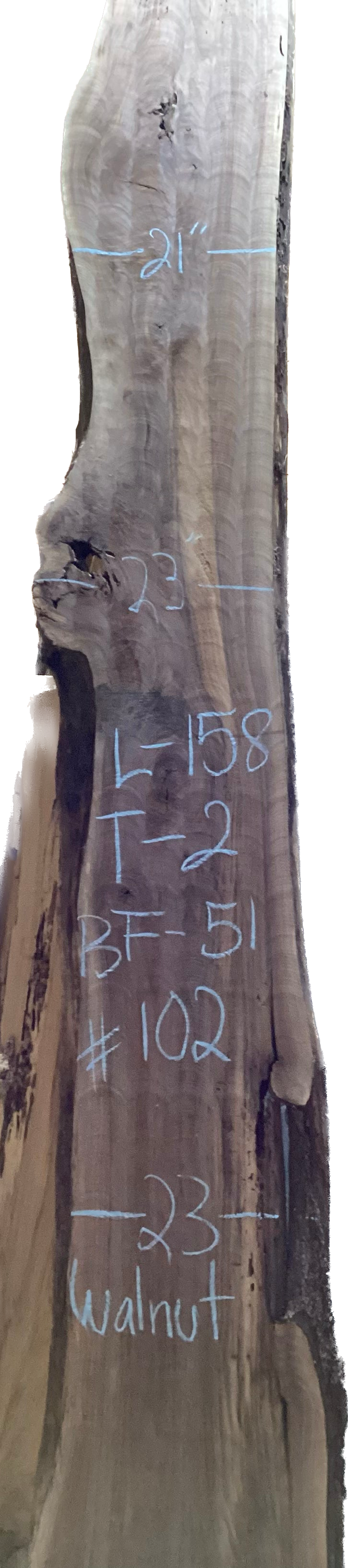 Walnut Slabs 8/4- 101-200