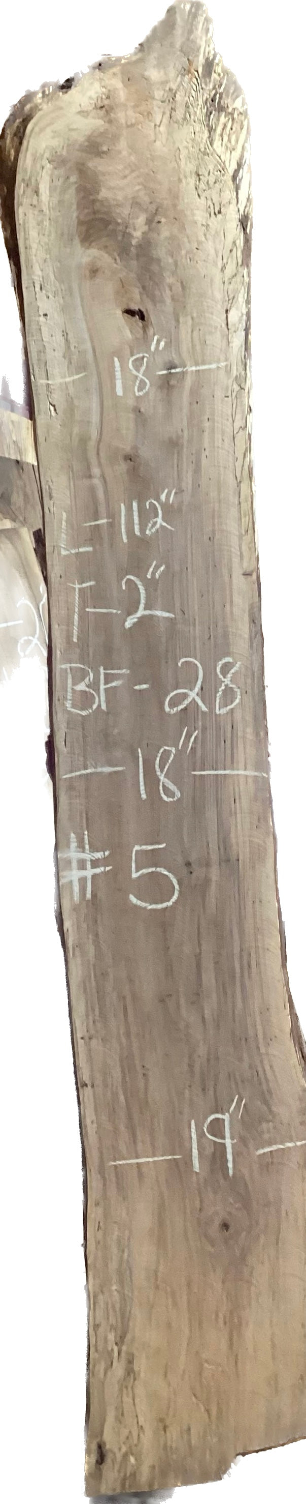 Ambrosia Maple Slabs