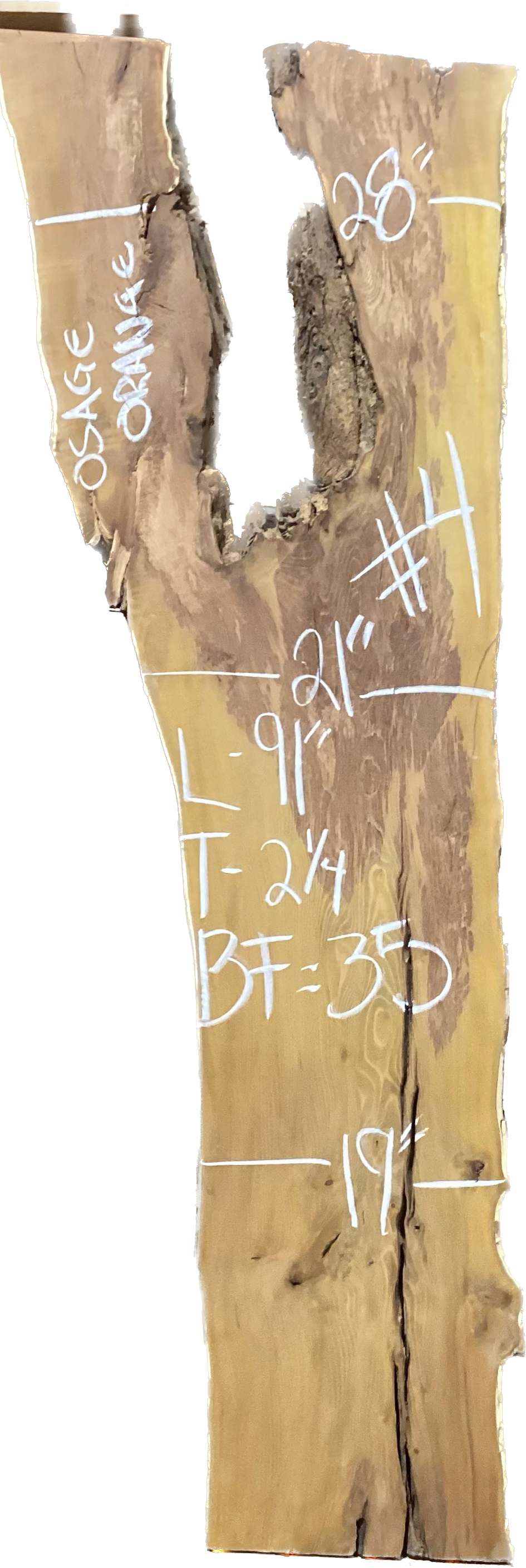 Osage Orange Slabs