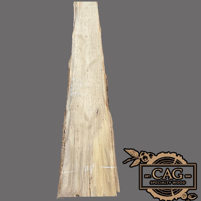 Magnolia Slabs