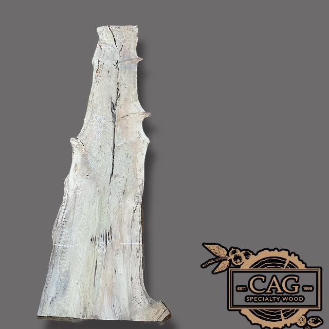 Magnolia Slabs
