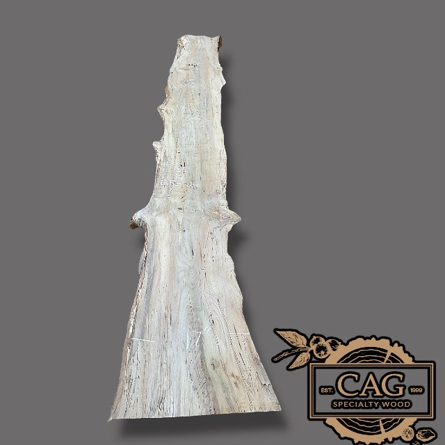 Magnolia Slabs
