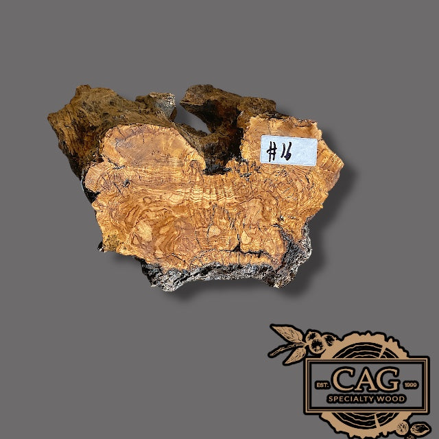 Olive Burl