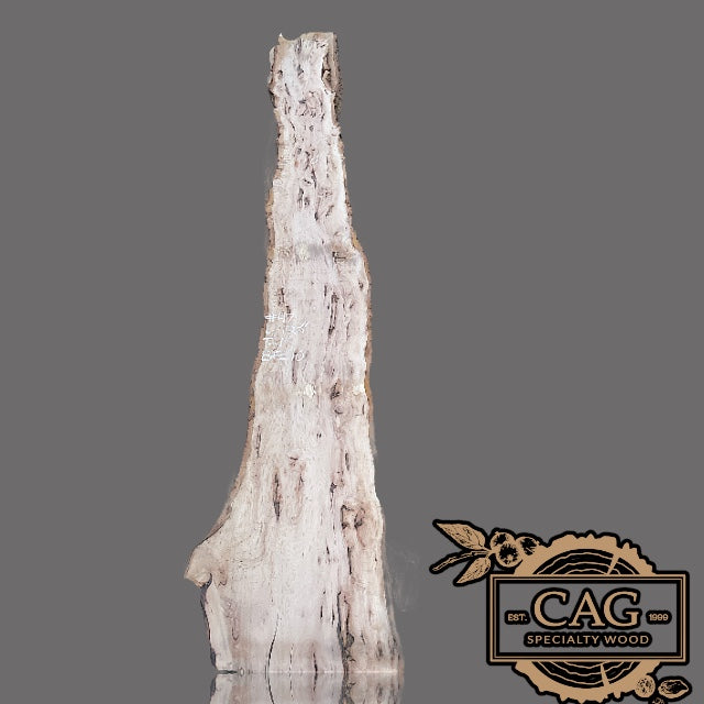 Pecan Slabs