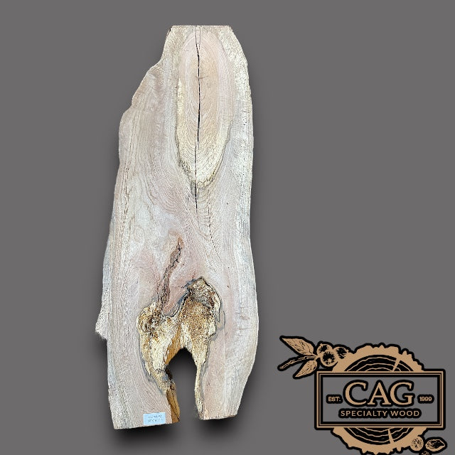 Red Oak Rounds