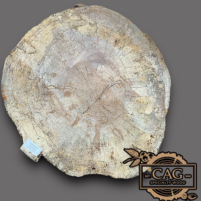 Spalted Maple Crosscut