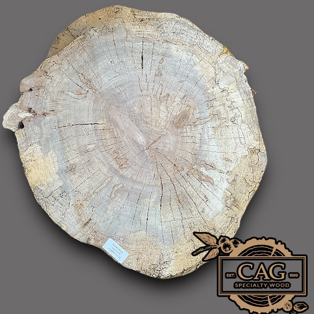 Spalted Maple Crosscut