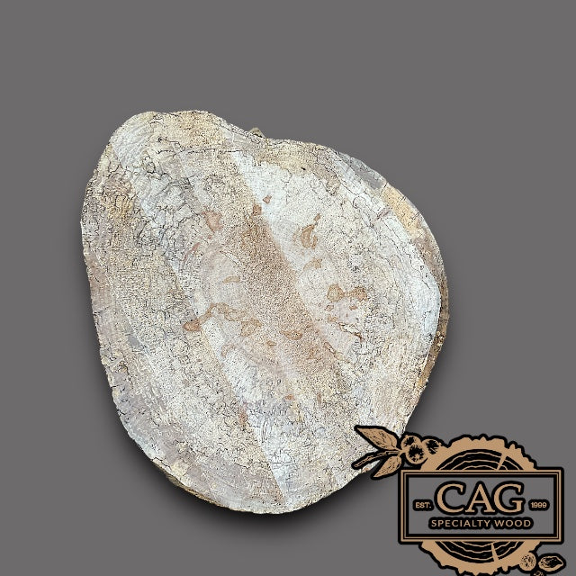 Spalted Maple Crosscut