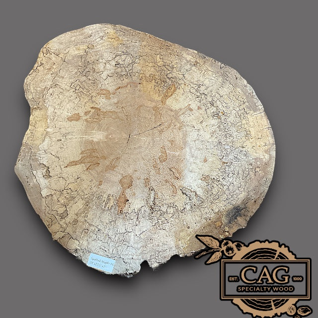 Spalted Maple Crosscut