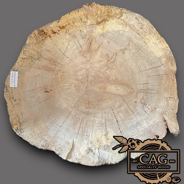 Spalted Maple Crosscut