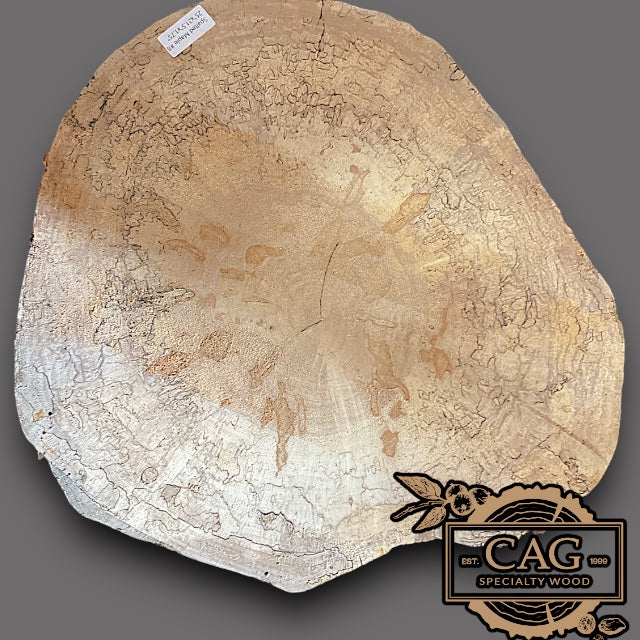 Spalted Maple Crosscut