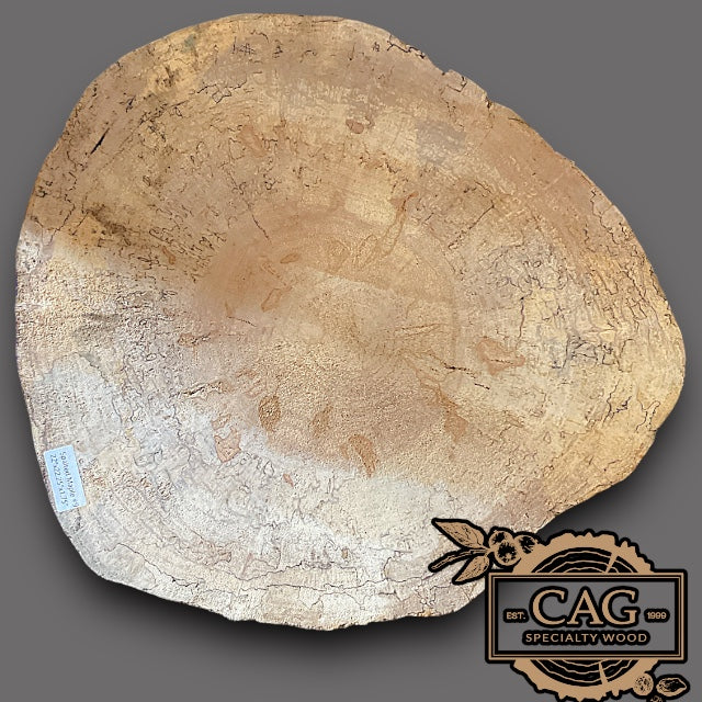 Spalted Maple Crosscut