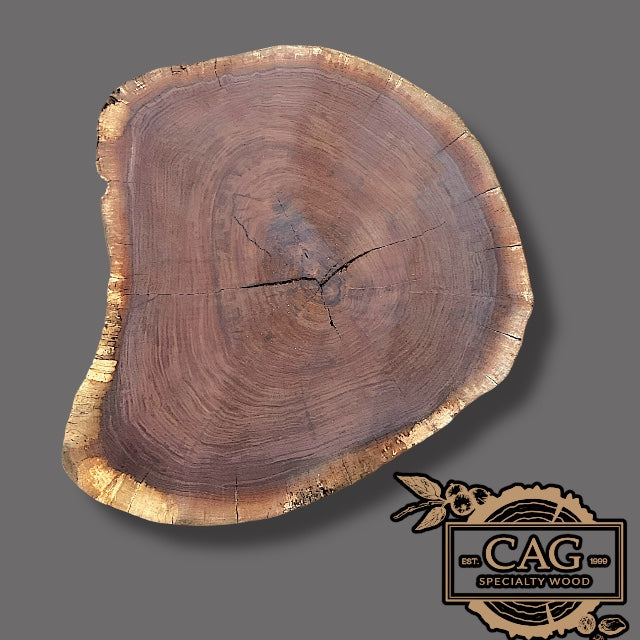 Black Walnut Crosscut Cookies / Rounds / Crosscuts