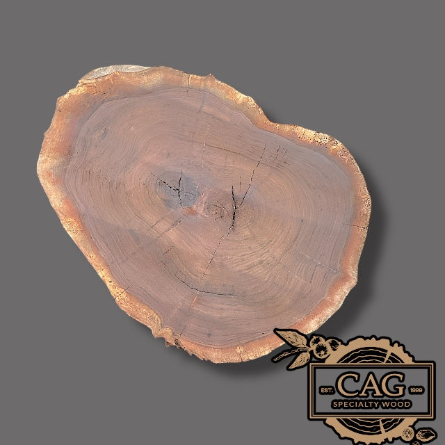 Black Walnut Crosscut Cookies / Rounds / Crosscuts