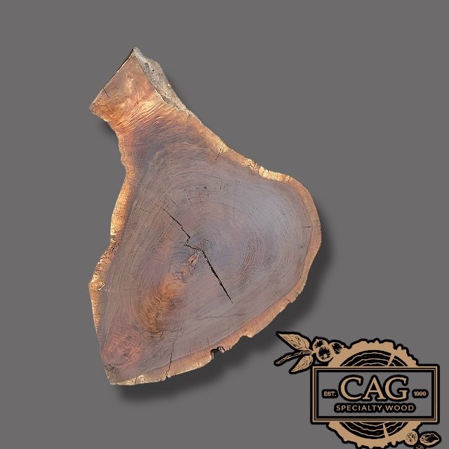 Black Walnut Crosscut Cookies / Rounds / Crosscuts