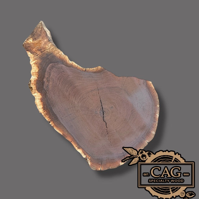 Black Walnut Crosscut Cookies / Rounds / Crosscuts