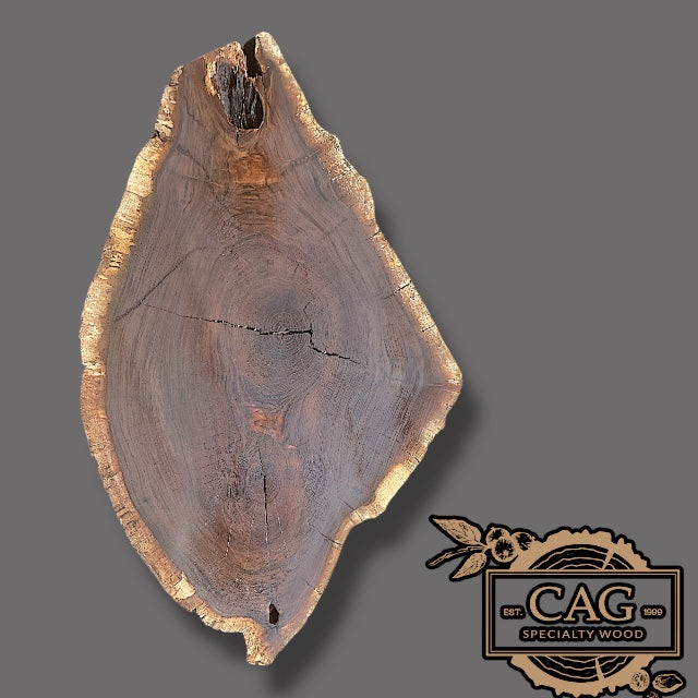 Black Walnut Crosscut Cookies / Rounds / Crosscuts
