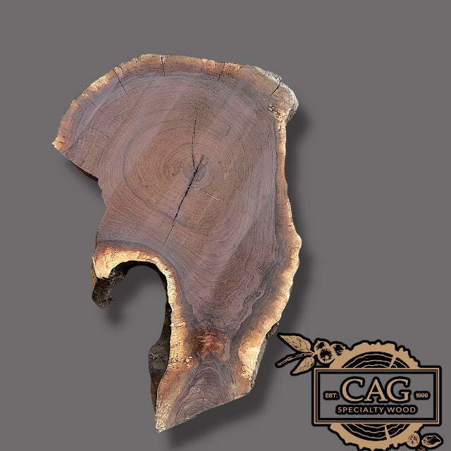 Black Walnut Crosscut Cookies / Rounds / Crosscuts