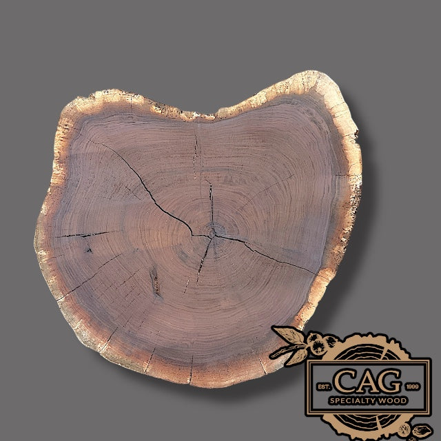 Black Walnut Crosscut Cookies / Rounds / Crosscuts
