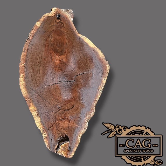 Black Walnut Crosscut Cookies / Rounds / Crosscuts