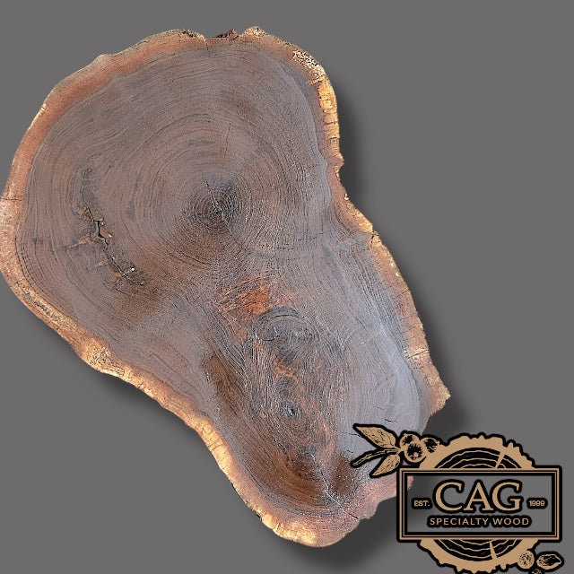 Black Walnut Crosscut Cookies / Rounds / Crosscuts