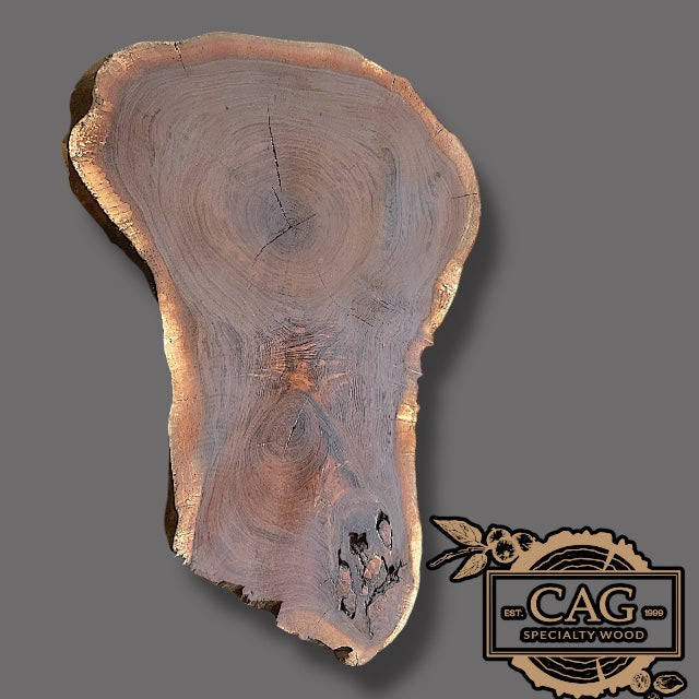 Black Walnut Crosscut Cookies / Rounds / Crosscuts