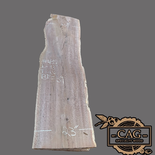 Walnut Slabs 400-499
