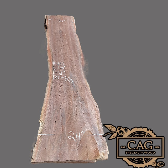 Walnut Slabs 400-499