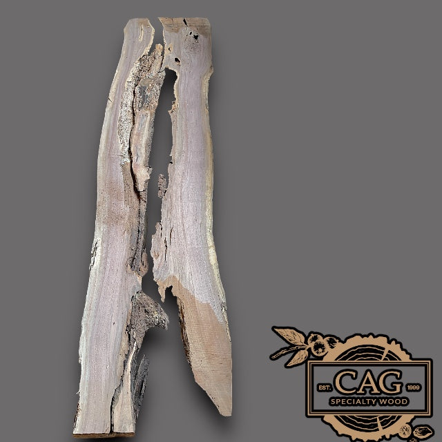 Walnut Slabs 400-499