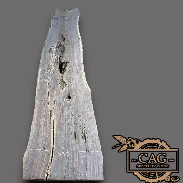 Walnut Slabs 400-499