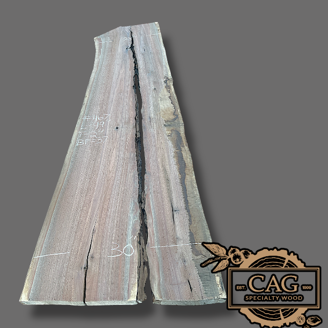 Walnut Slabs 400-499