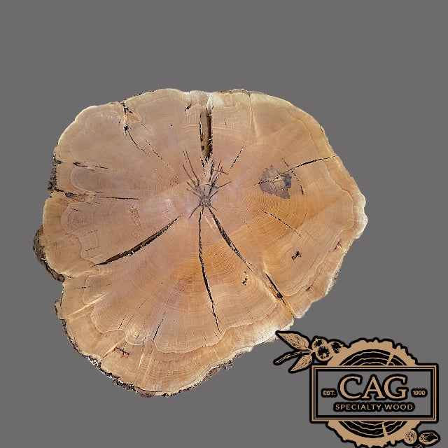 White Ash Crosscut