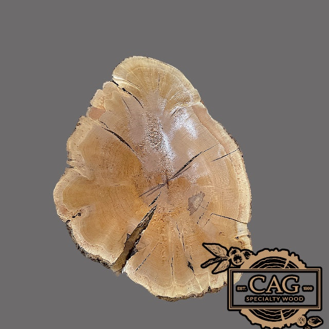White Ash Crosscut