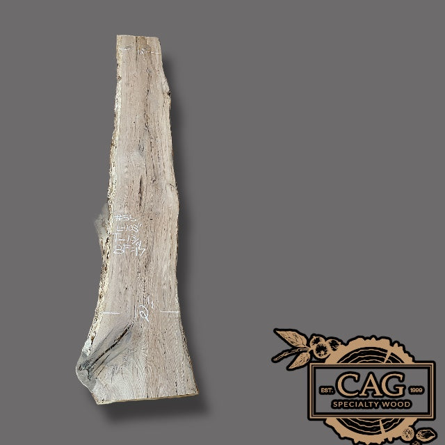 White Oak Slabs #101-200