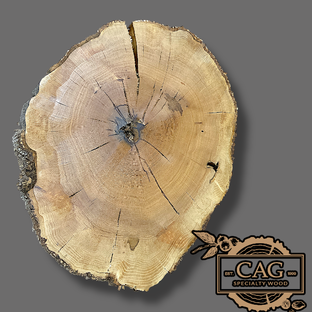 White Oak & Red Oak Crosscut Cookies