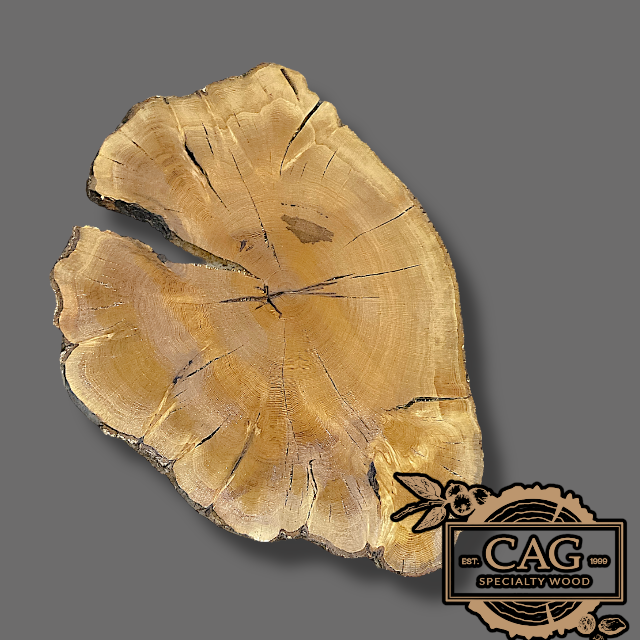 White Oak & Red Oak Crosscut Cookies