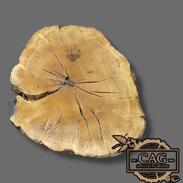 White Oak & Red Oak Crosscut Cookies