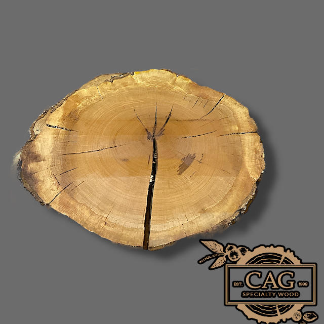 White Oak & Red Oak Crosscut Cookies