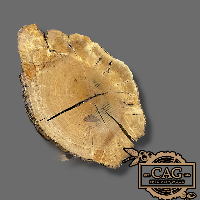 White Oak & Red Oak Crosscut Cookies