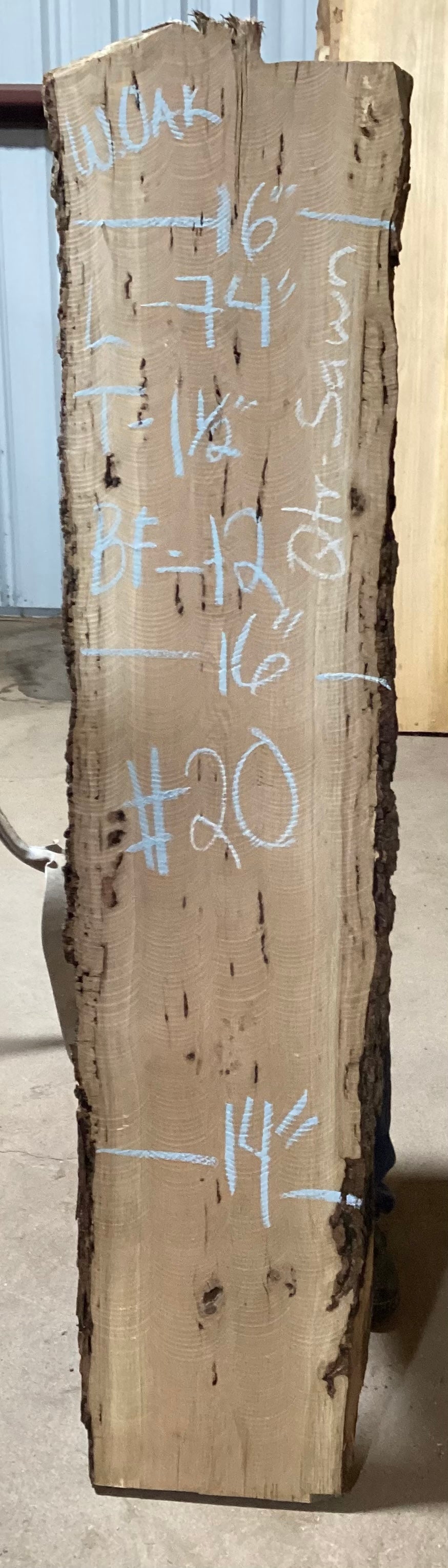 White Oak Slabs #101-200